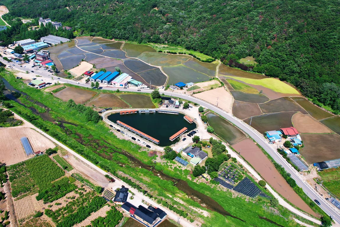 DJI_0312.JPG