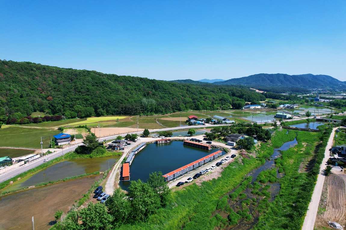 DJI_0325.JPG