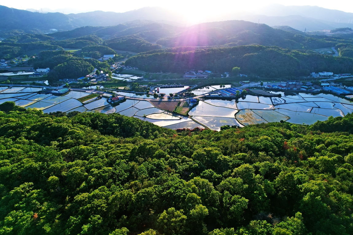 DJI_0351.JPG