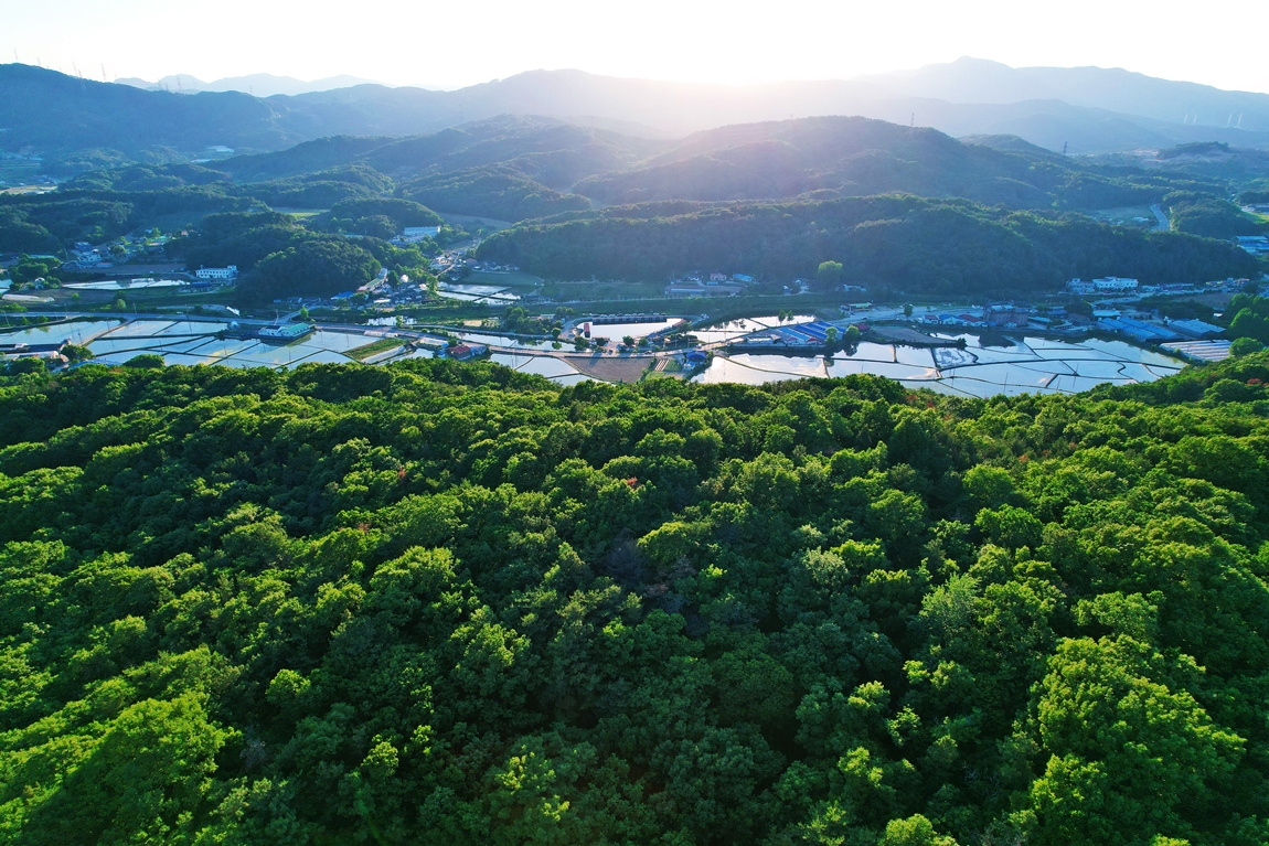DJI_0349.JPG