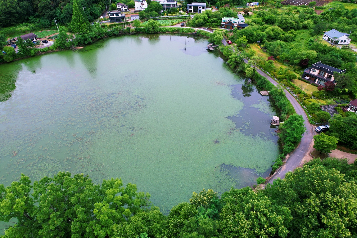 DJI_0388.JPG