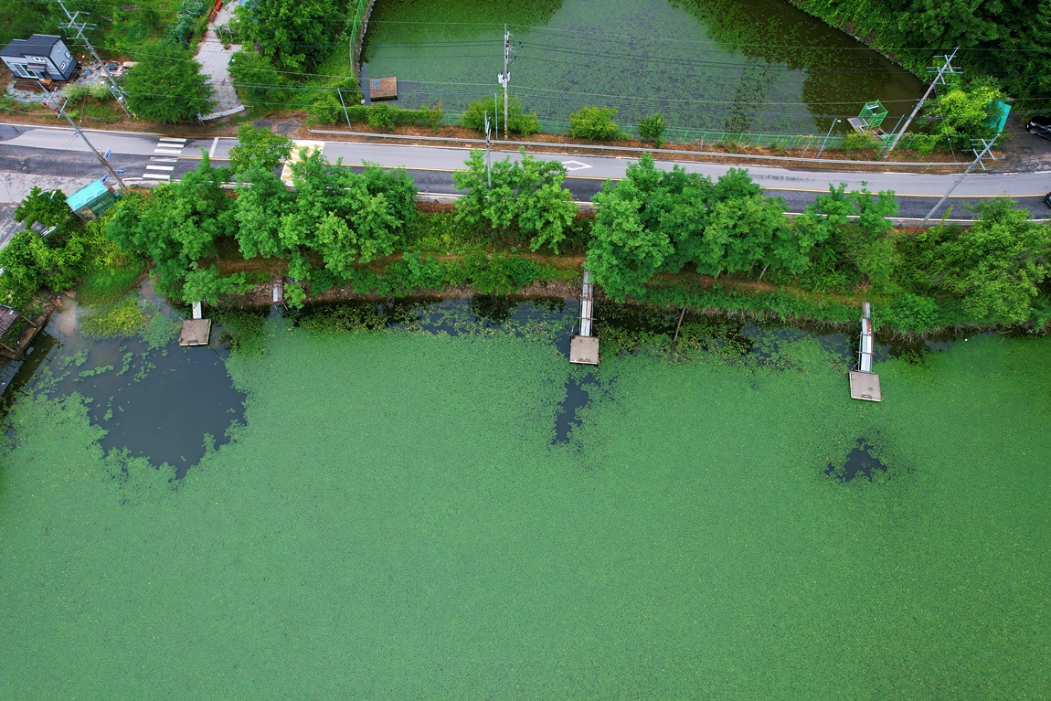 DJI_0411.JPG