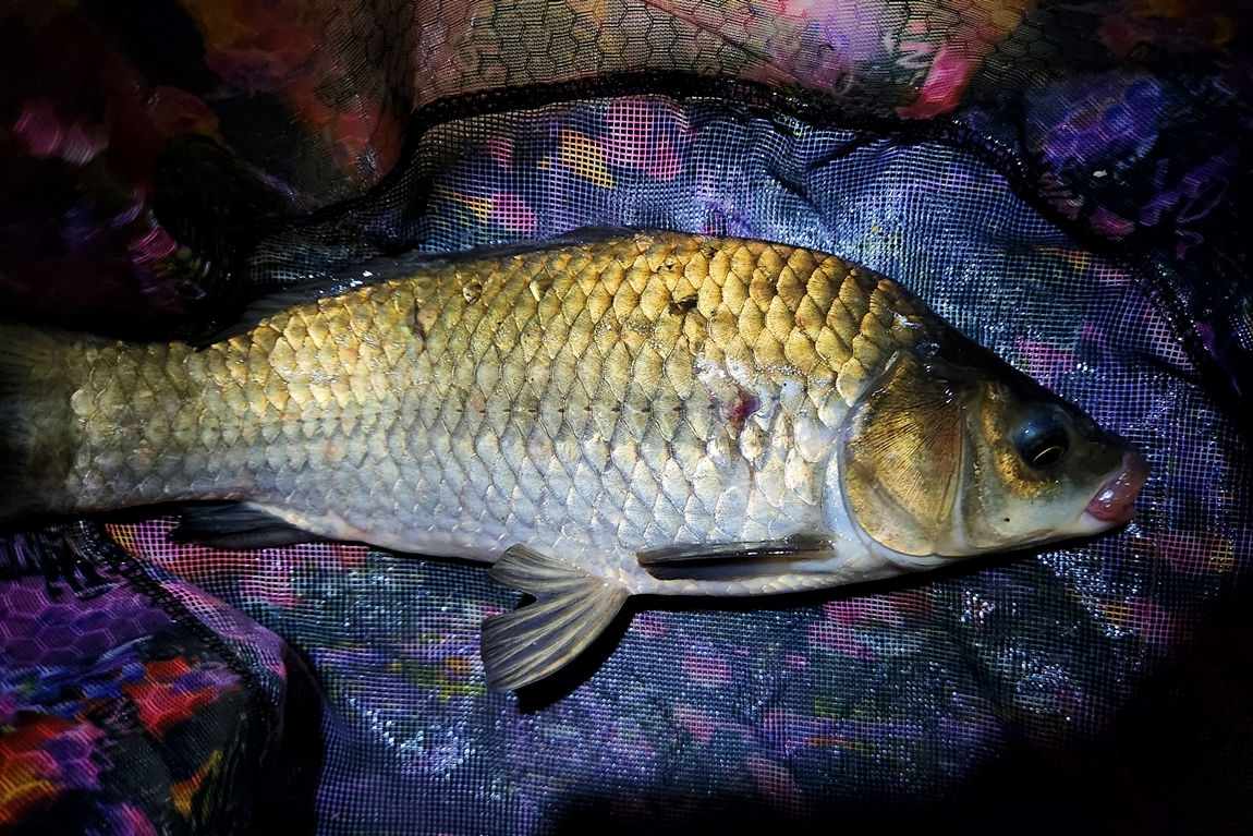 20260704_211217.jpg