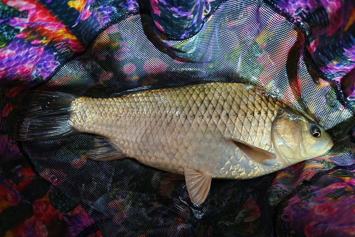 20260704_231942.jpg