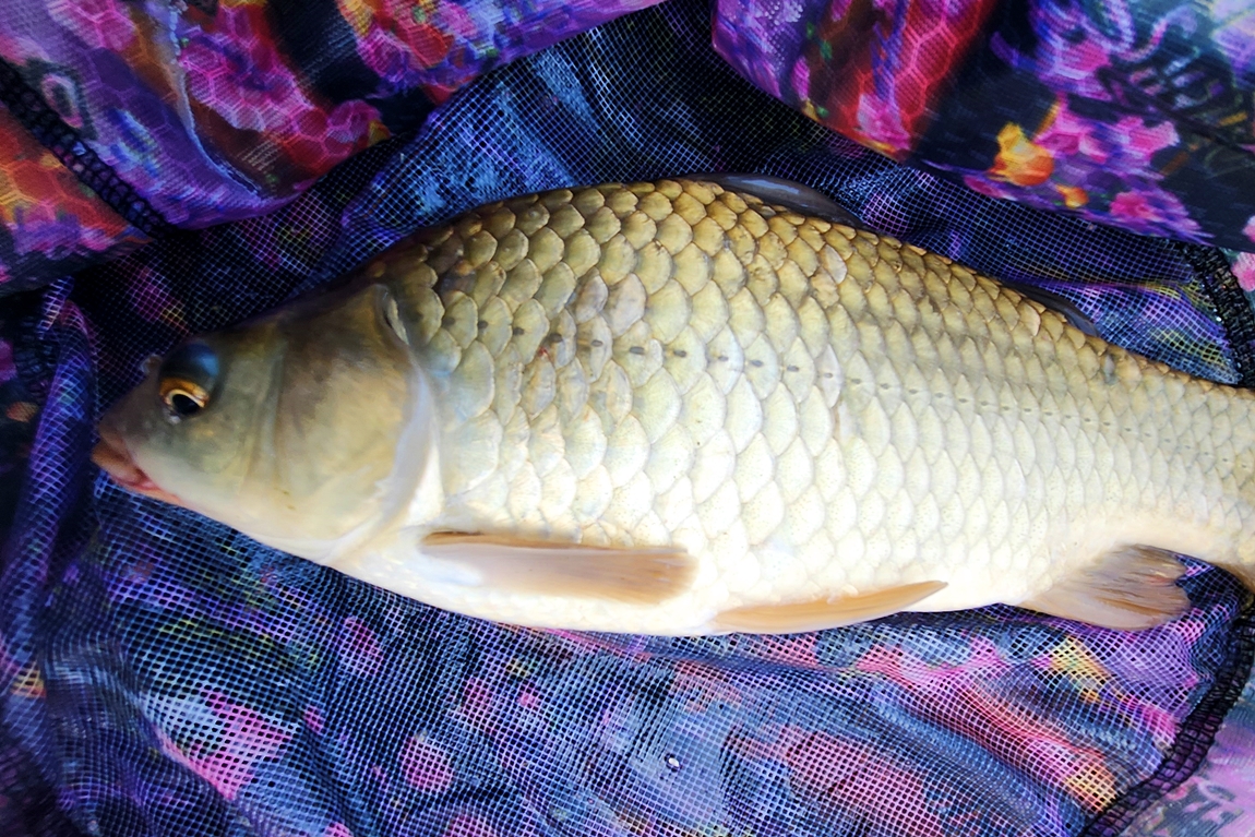 20260705_080945.jpg