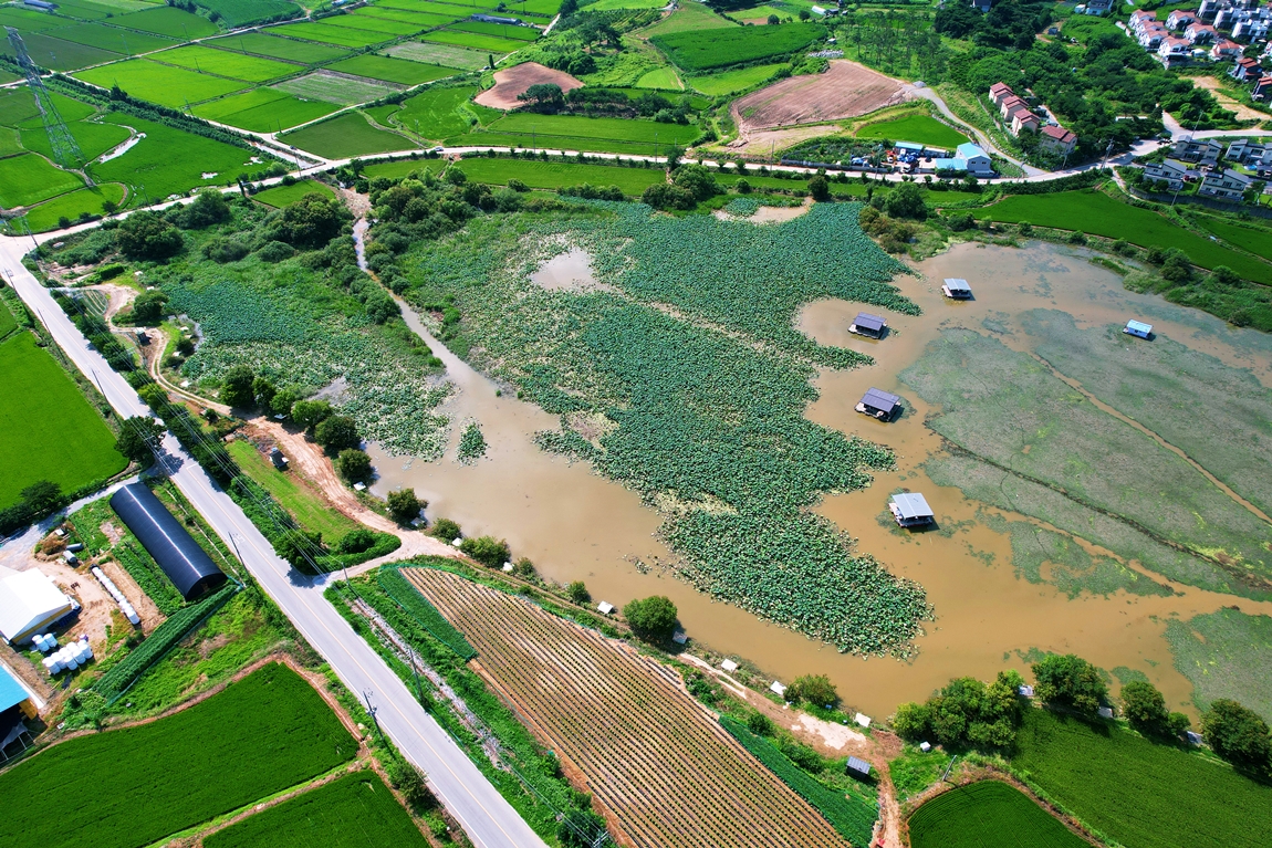DJI_0500.JPG