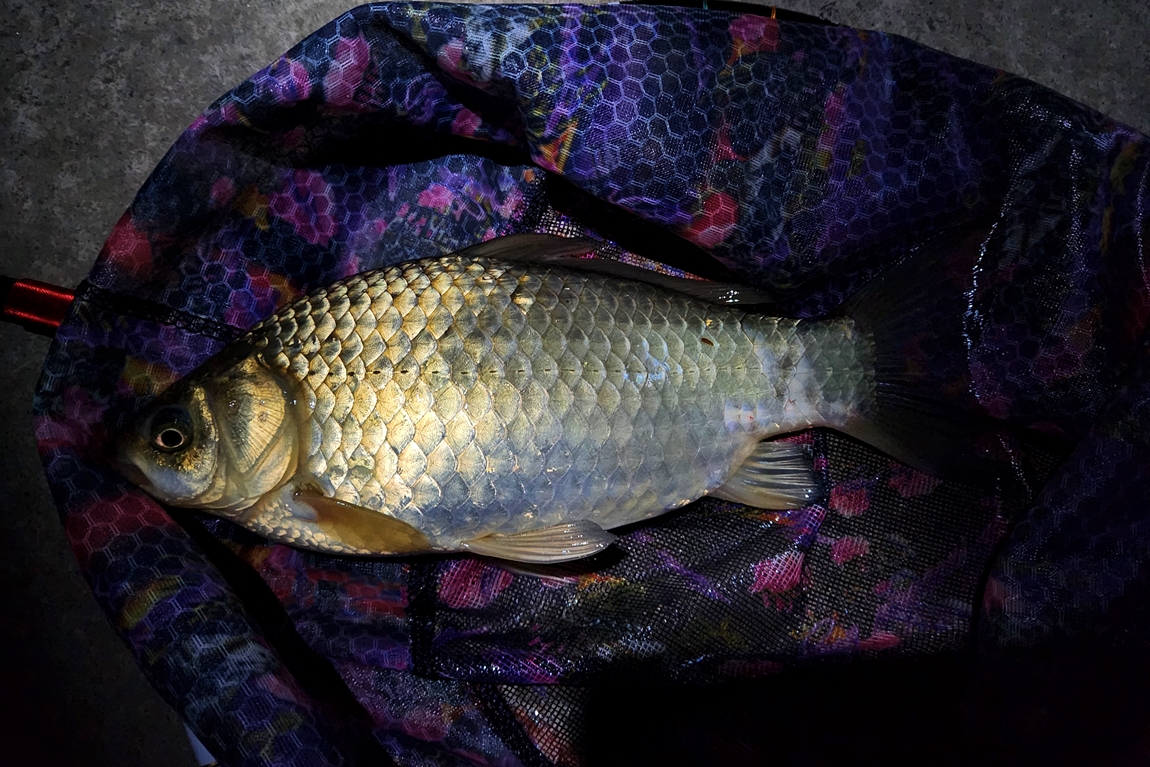 20260228_211757.jpg
