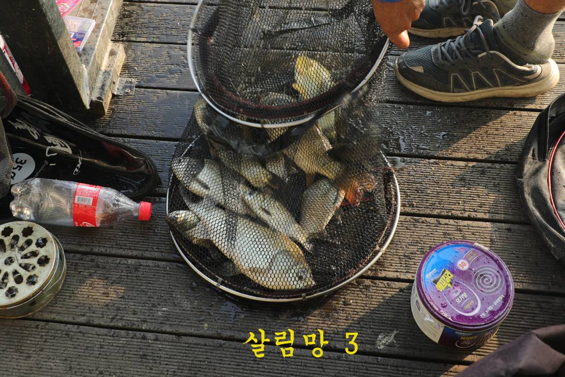 07.jpg