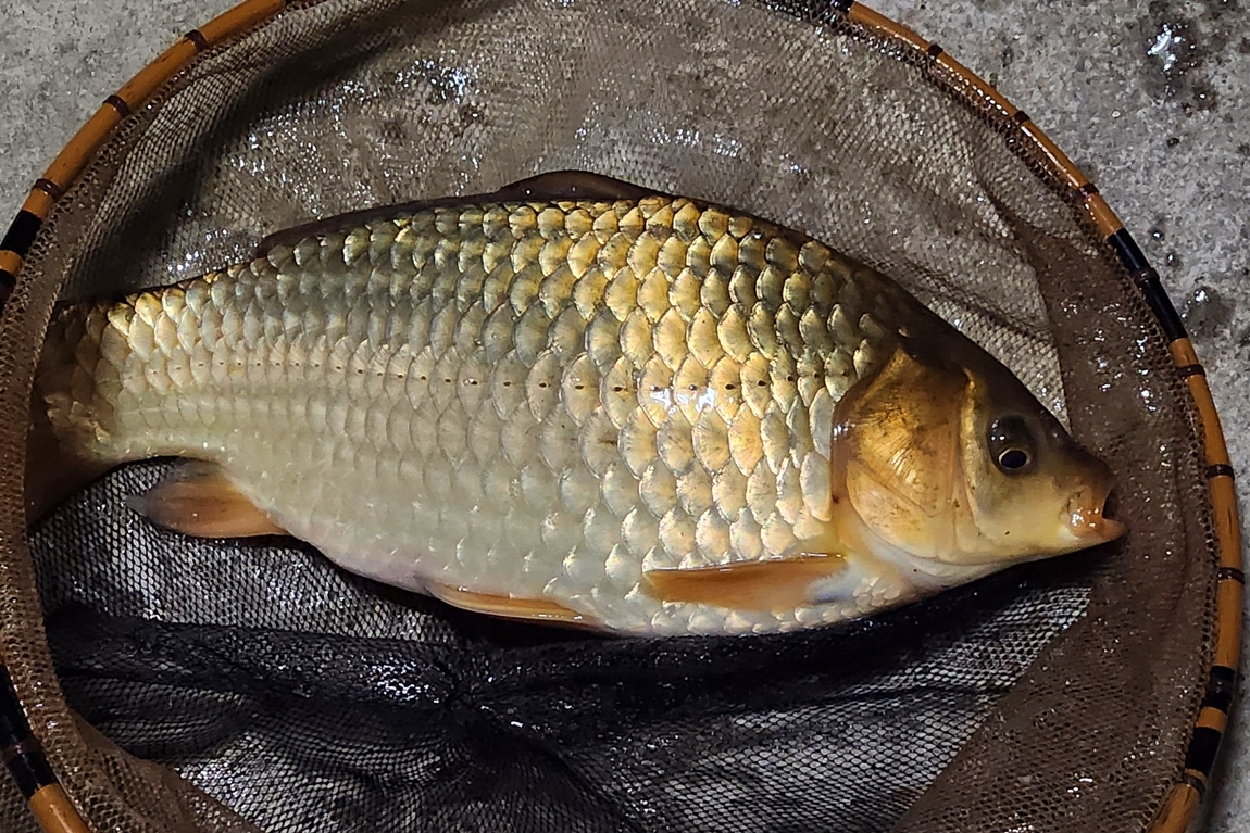20240331_000135.jpg