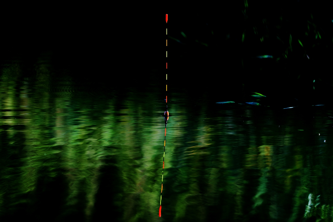A16I6810.JPG