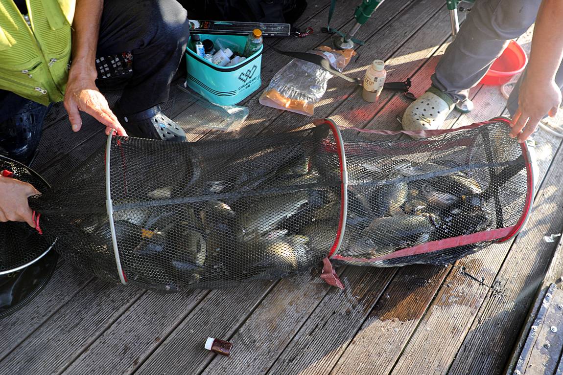 08.jpg