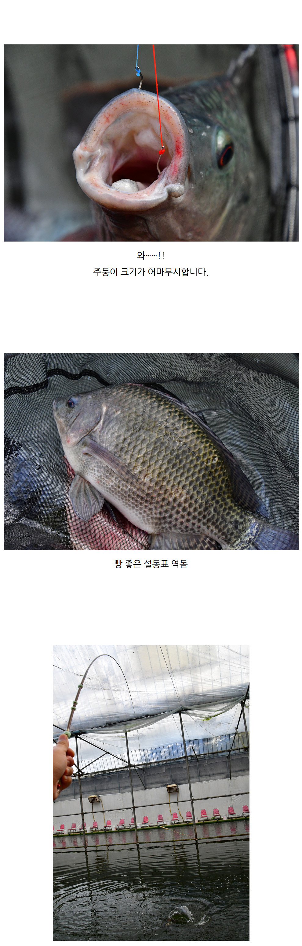 ���������� ���� �Ͽ콺 - 04.jpg
