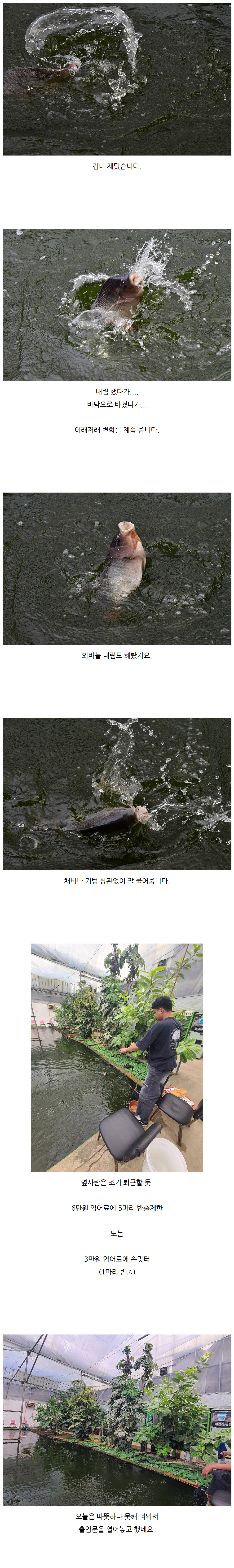 ���������� ���� �Ͽ콺 - 05.jpg