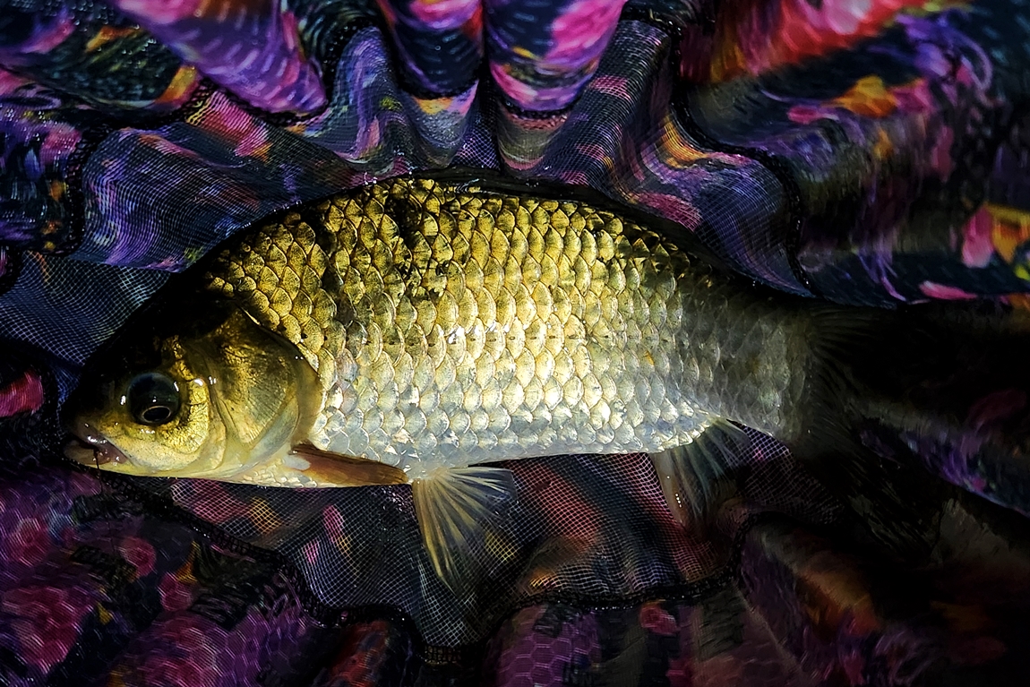20261010_205917.jpg
