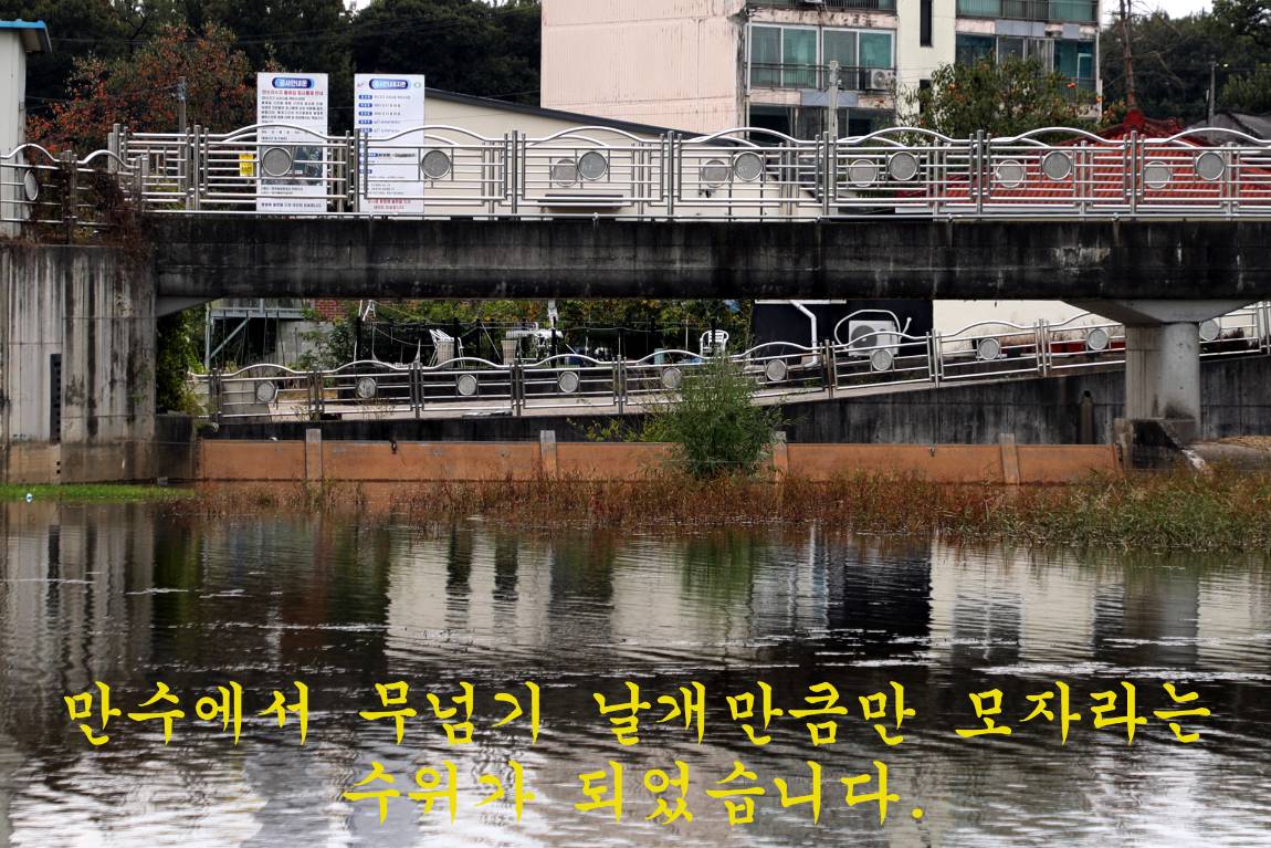 02.jpg