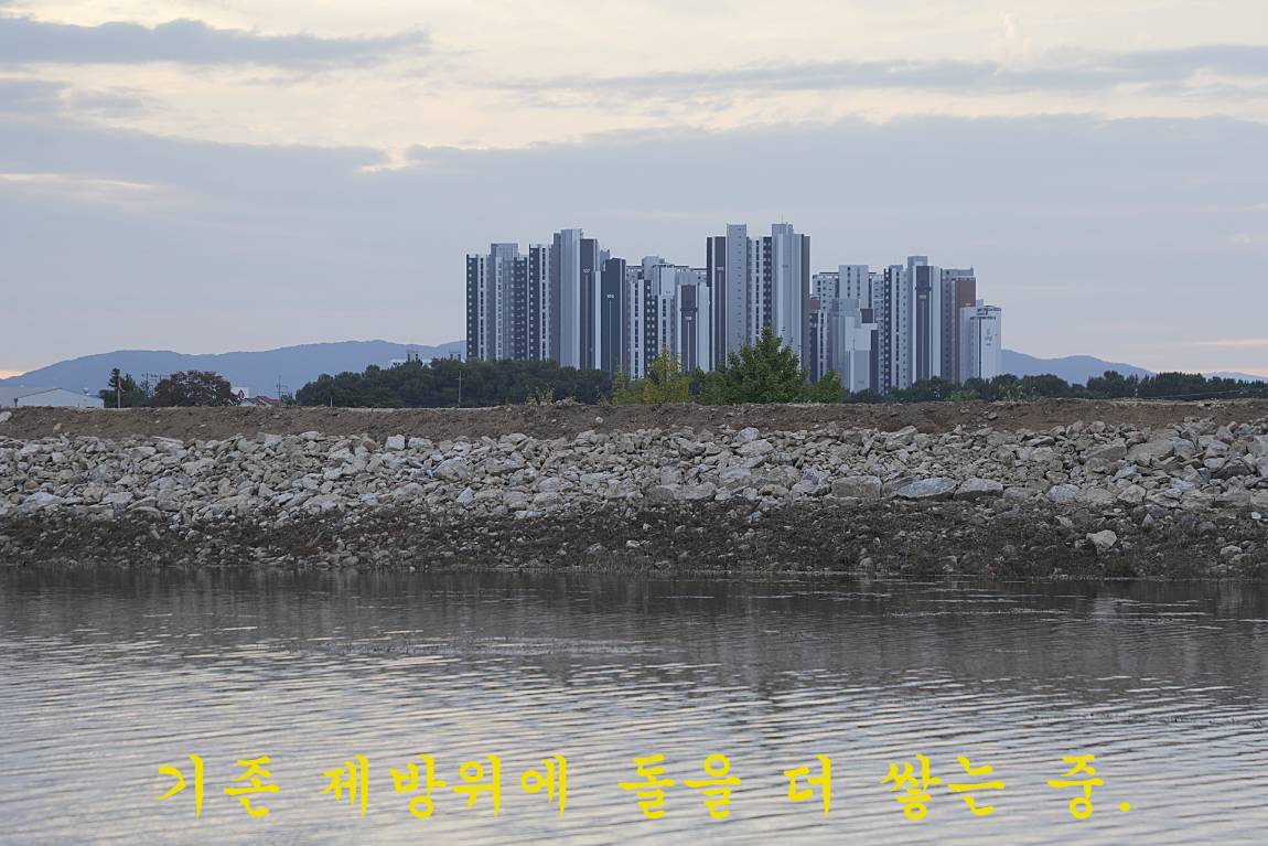 03.jpg