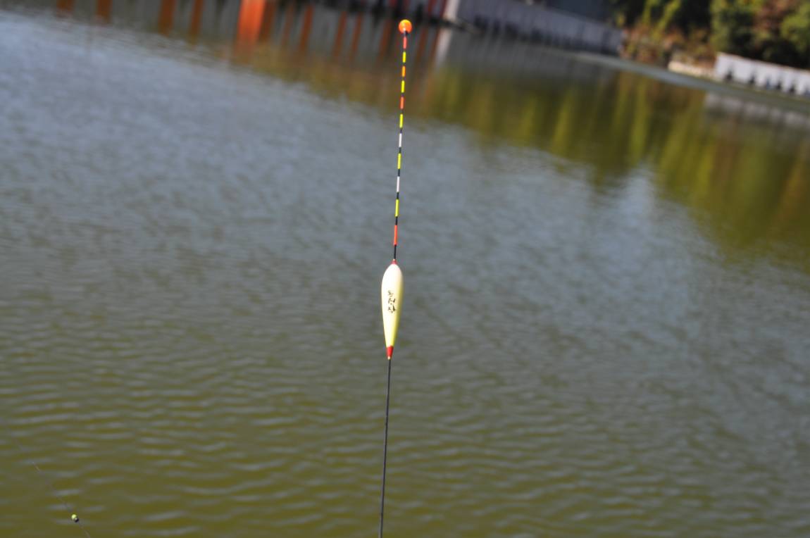 DSC_0004.JPG