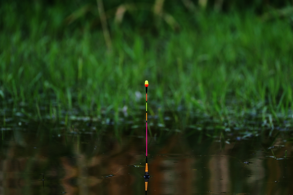 A16I6958.JPG