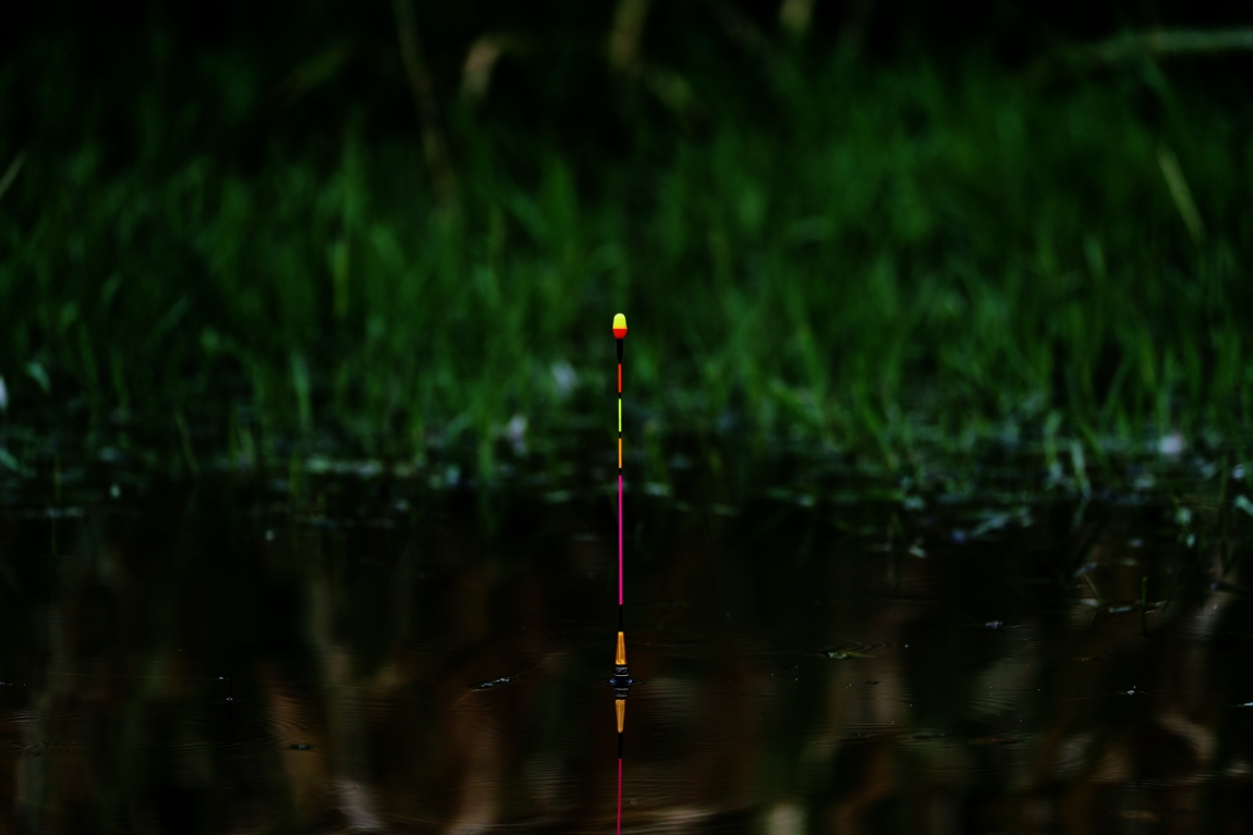 A16I6960.JPG