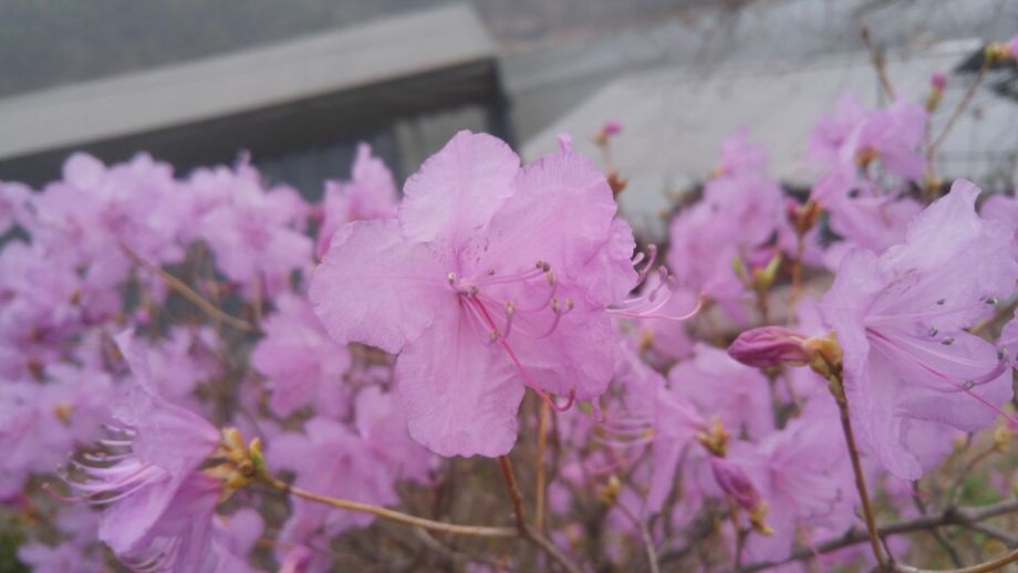 KakaoTalk_20160412_215851315.jpg