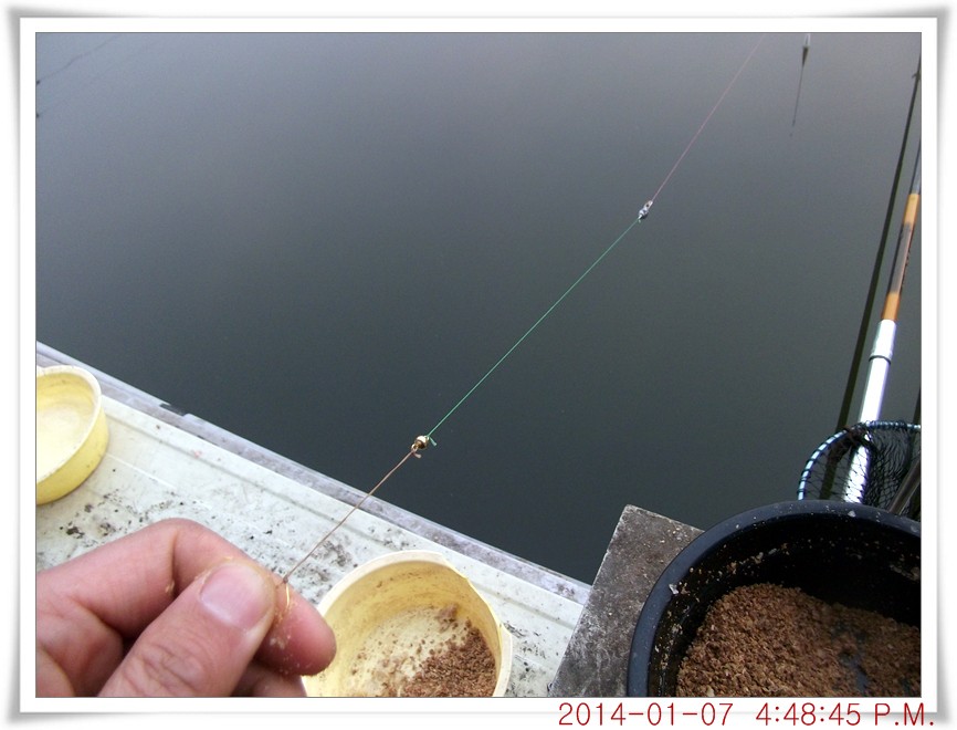 DSCF5621.jpg