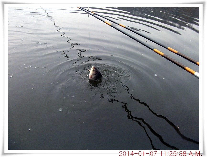 DSCF5619.jpg