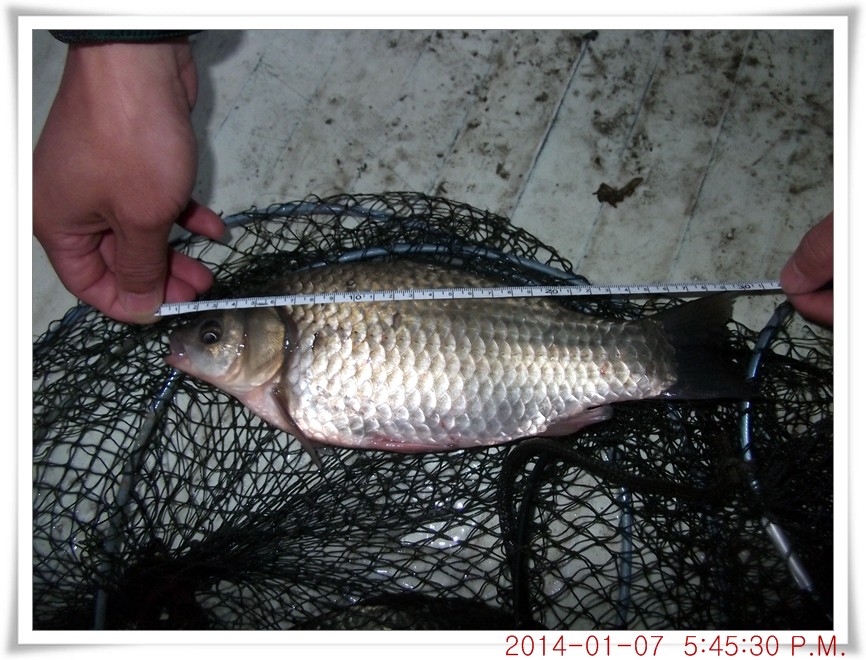 DSCF5626.jpg