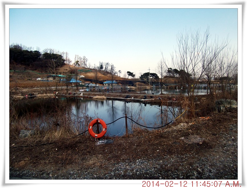 DSCF5869.jpg