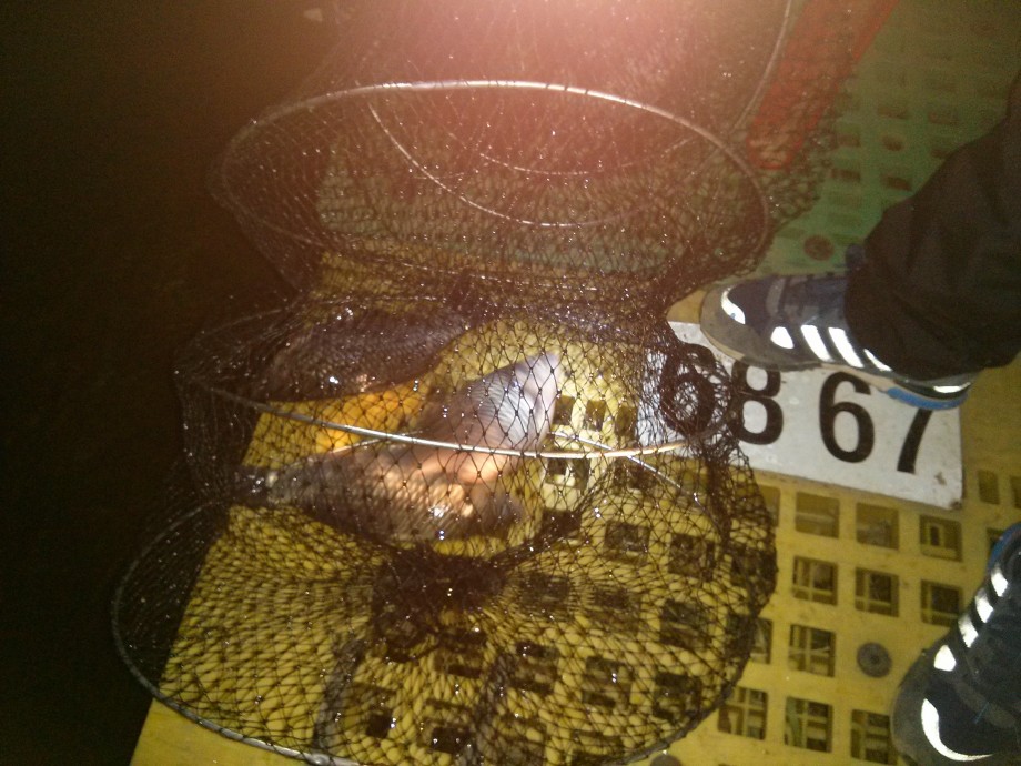 CAM00316.jpg