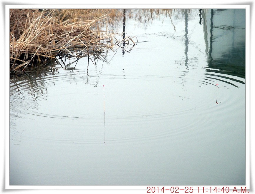 DSCF6016.jpg
