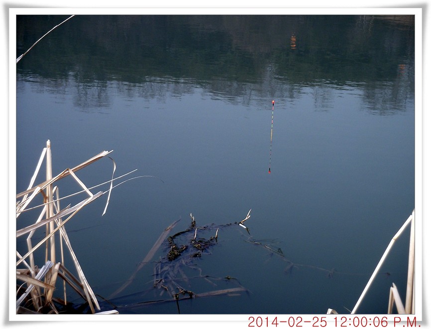 DSCF6017.jpg