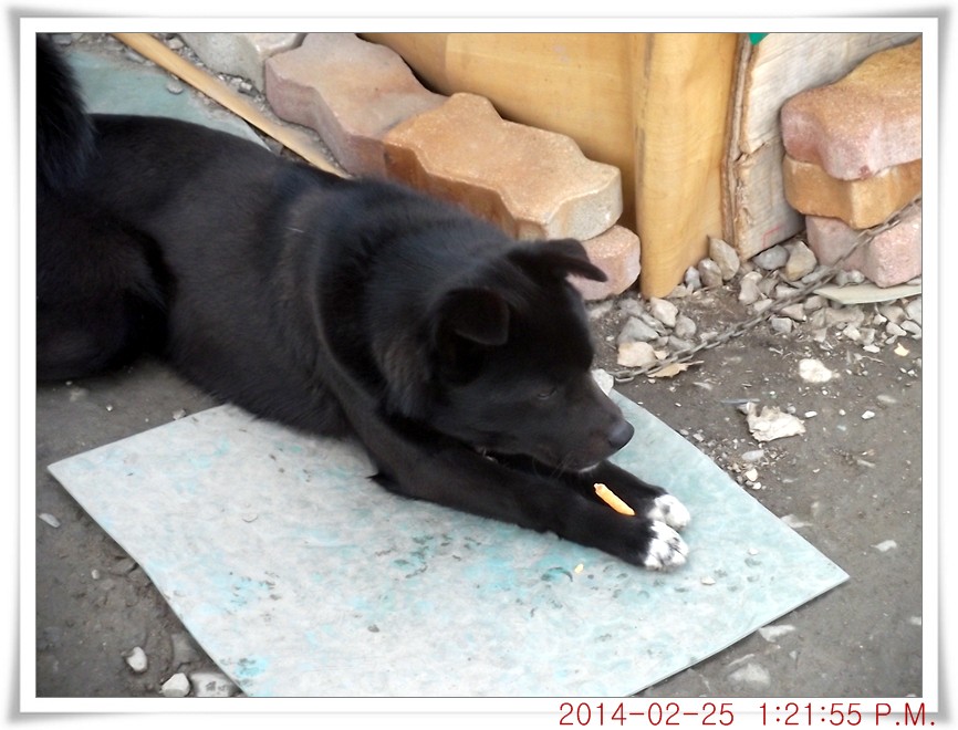 DSCF6018.jpg