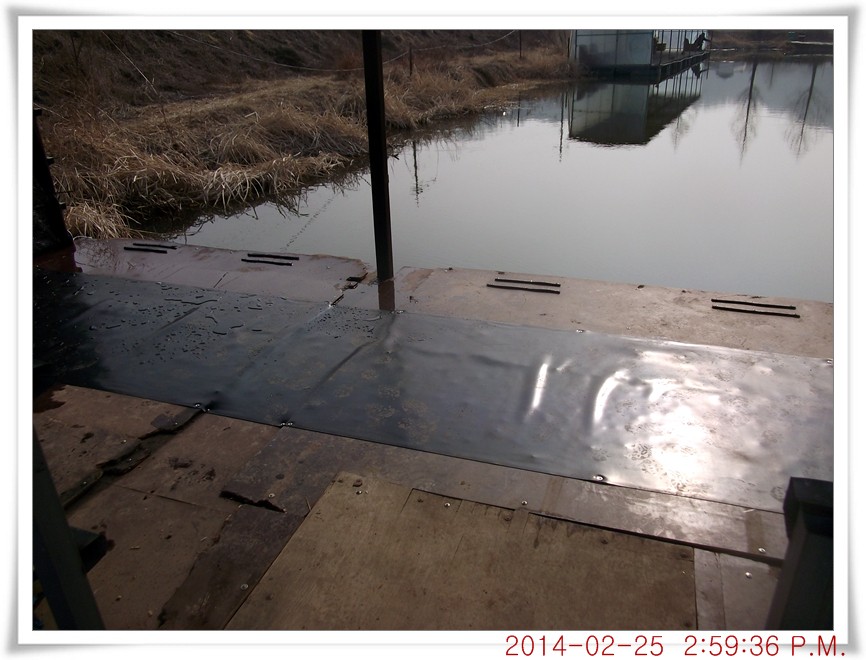 DSCF6020.jpg