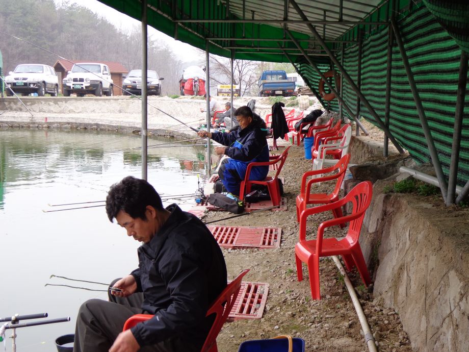 ���� (1).JPG