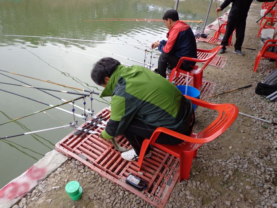 ���� (2).JPG