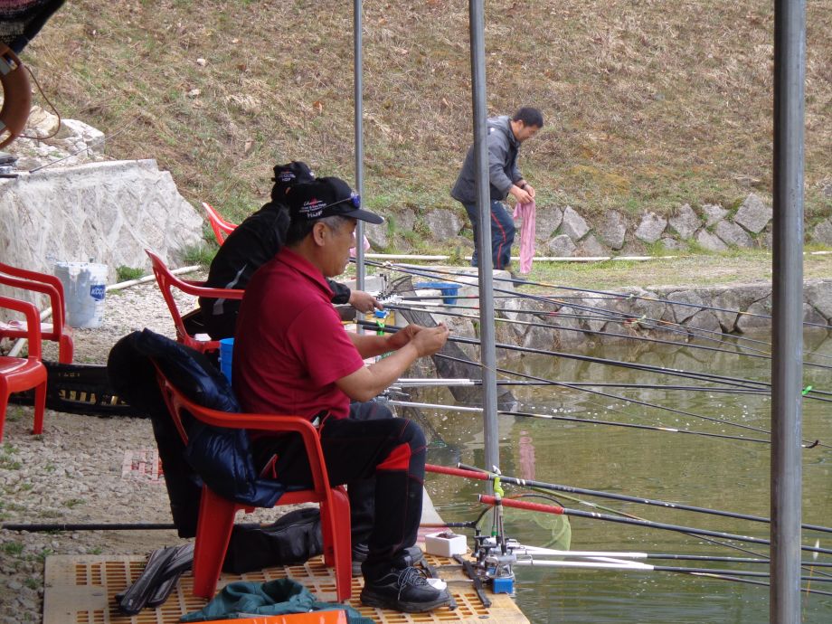 ���� (3).JPG