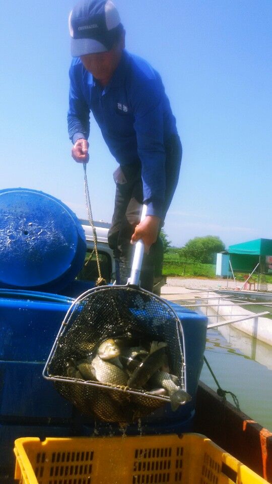 KakaoTalk_20140704_102356927.jpg