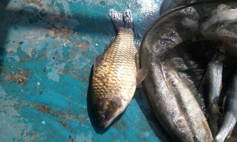 1404879620_63.45.41.jpg