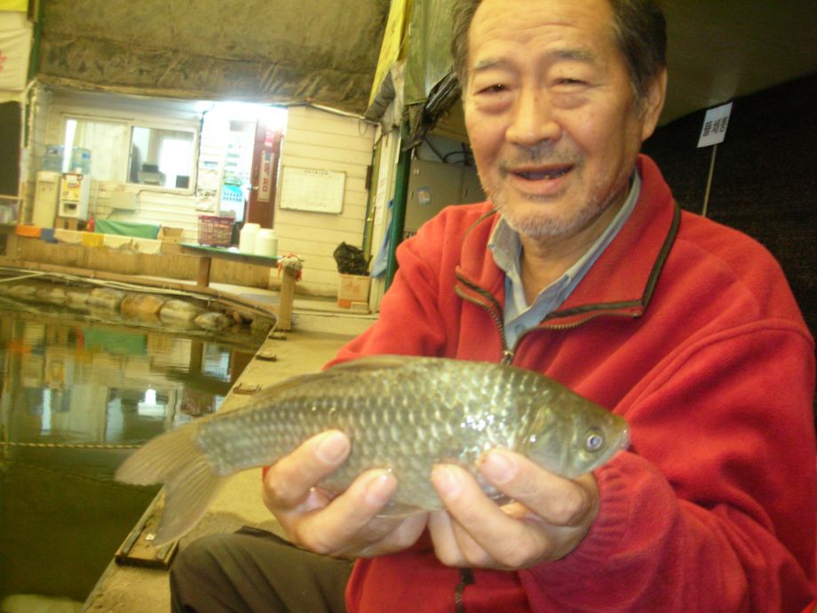 DSCN4530.JPG