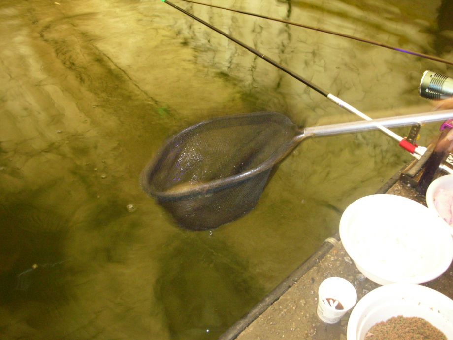 DSCN4528.JPG