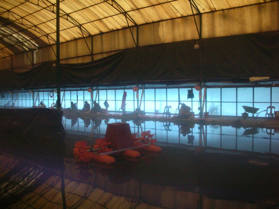DSCN5199.JPG