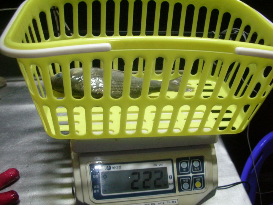 DSCN5210.JPG