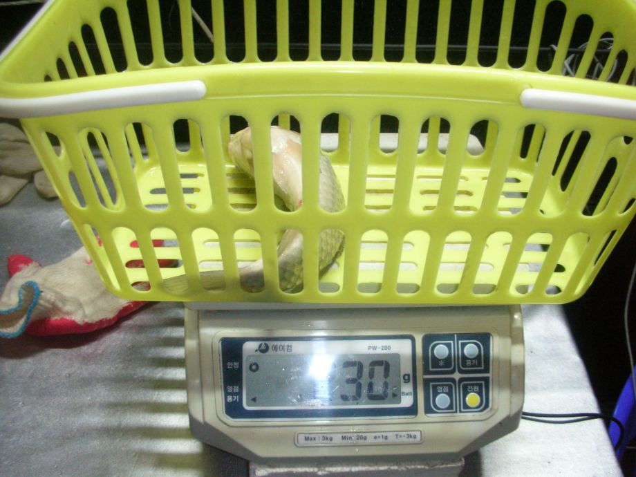 DSCN5211.JPG