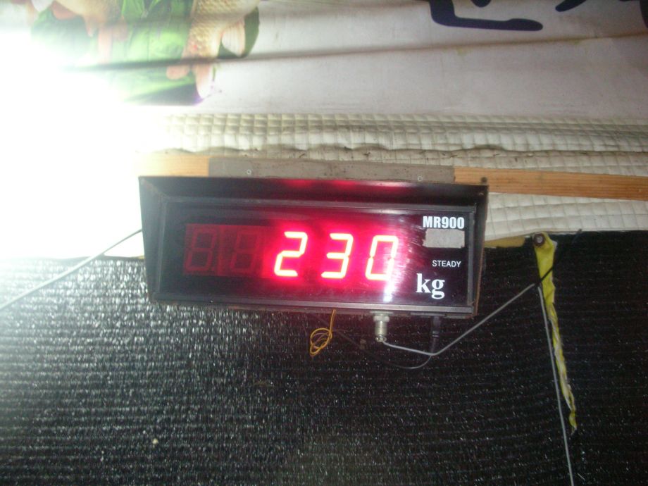 DSCN5212.JPG