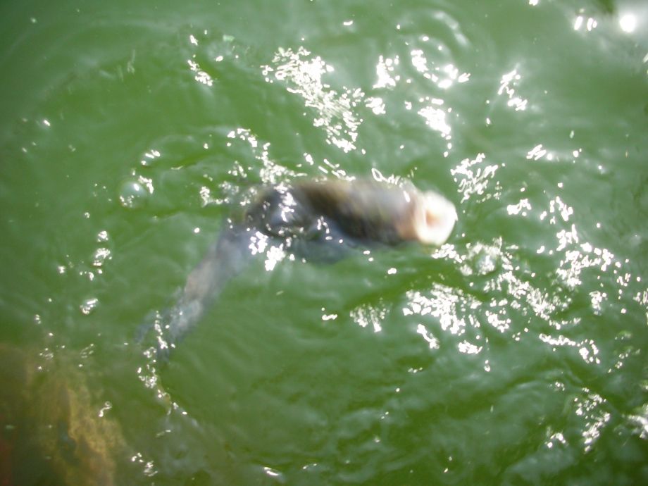 DSCN5345.JPG