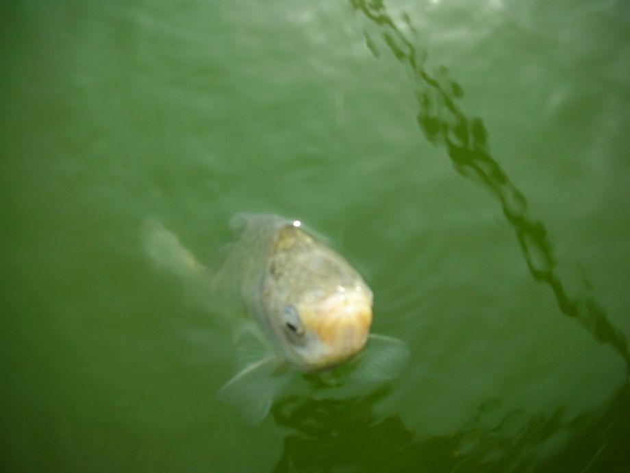 DSCN5346.JPG