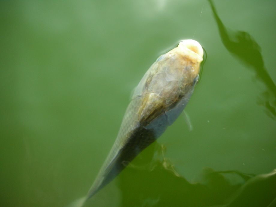 DSCN5347.JPG