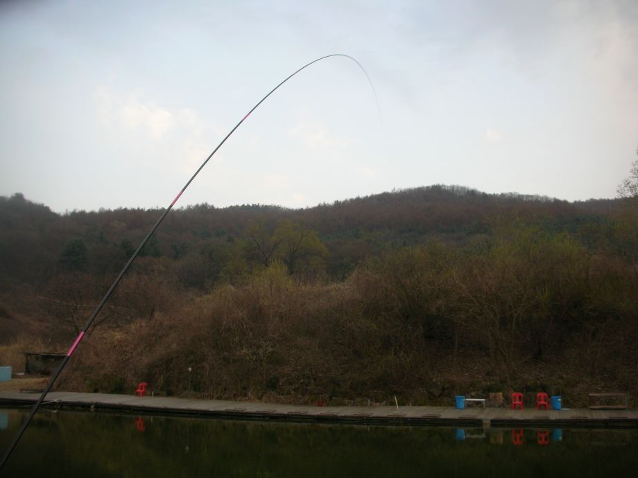 DSCN5355.JPG