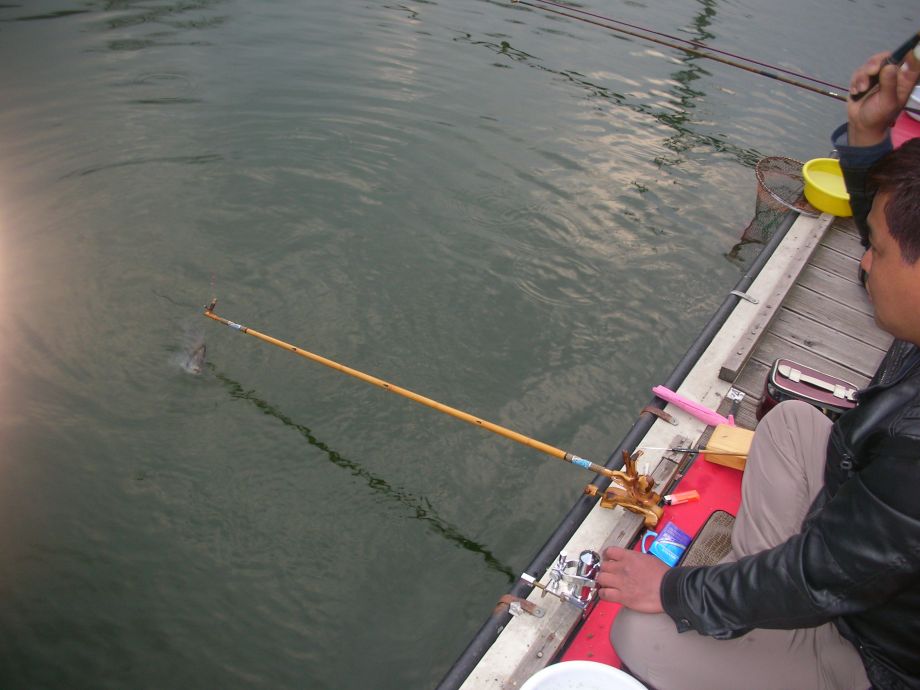 DSCN5360.JPG