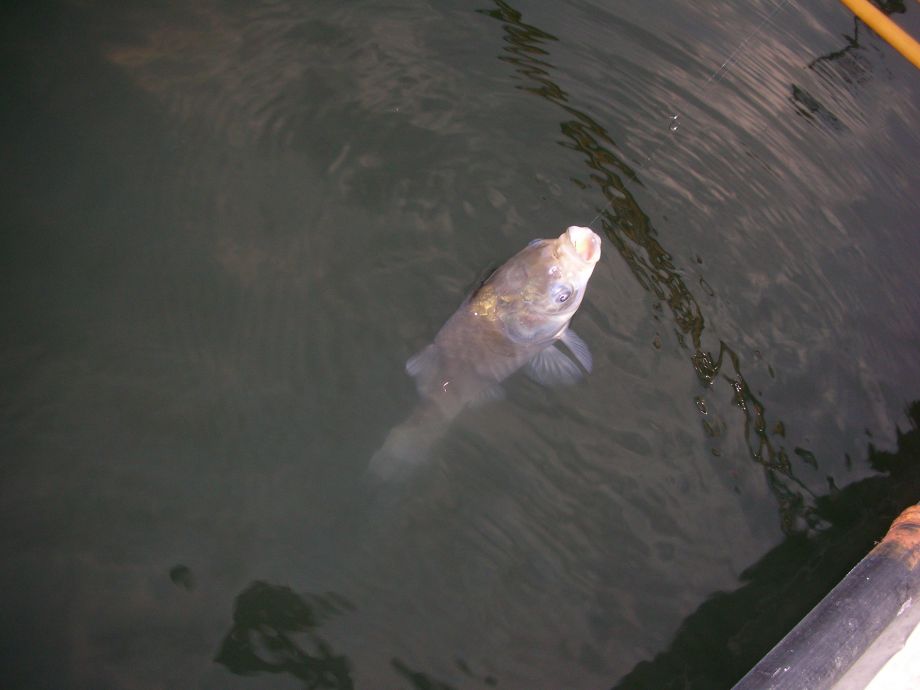 DSCN5361.JPG